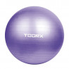 TOORX - Gym Ball Palla da ginnastica AHF 069